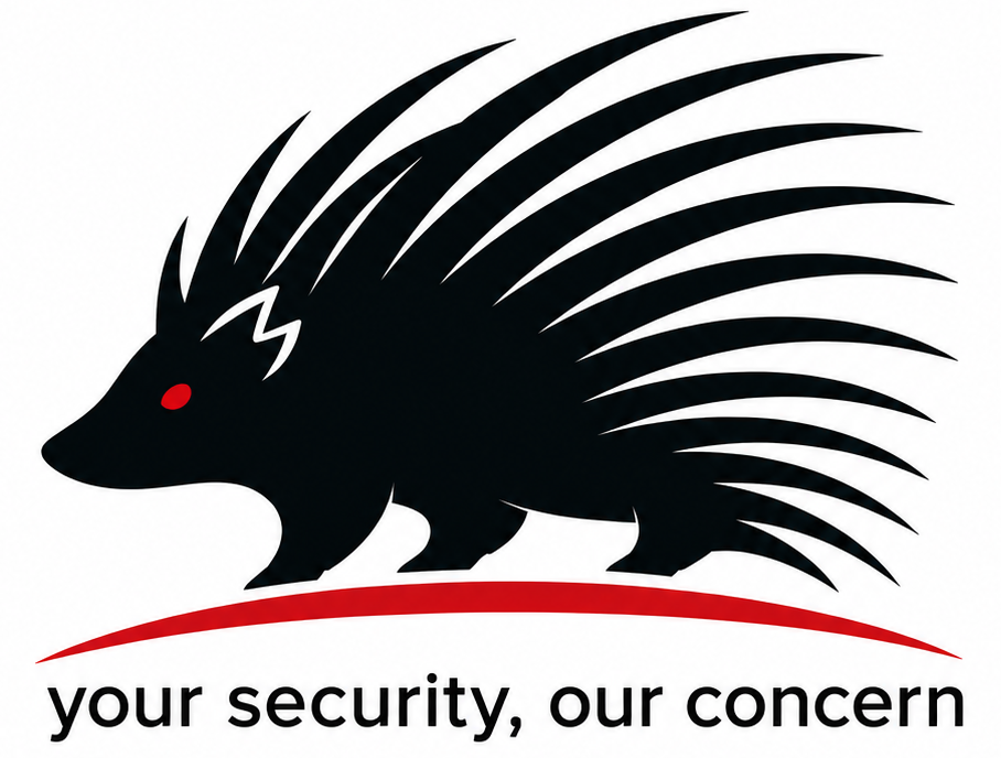 Quill Security Company Logo